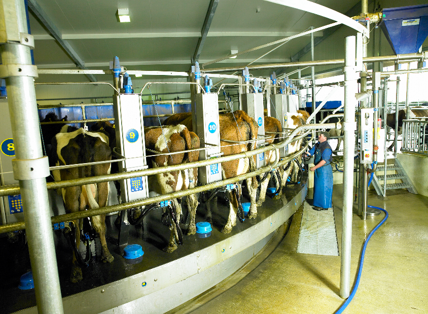 Fonterra announces results below farmers' expectations, warns of commodity volatility
