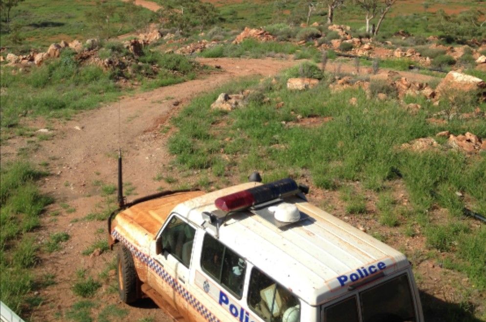 35 horses shot dead on rural property in Queensland