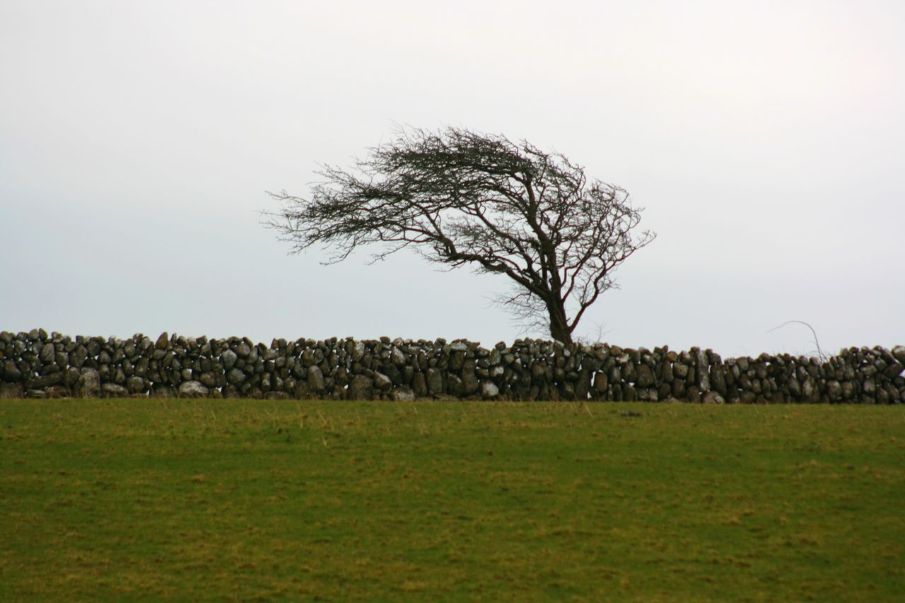 Status Yellow wind warning for most of the UK