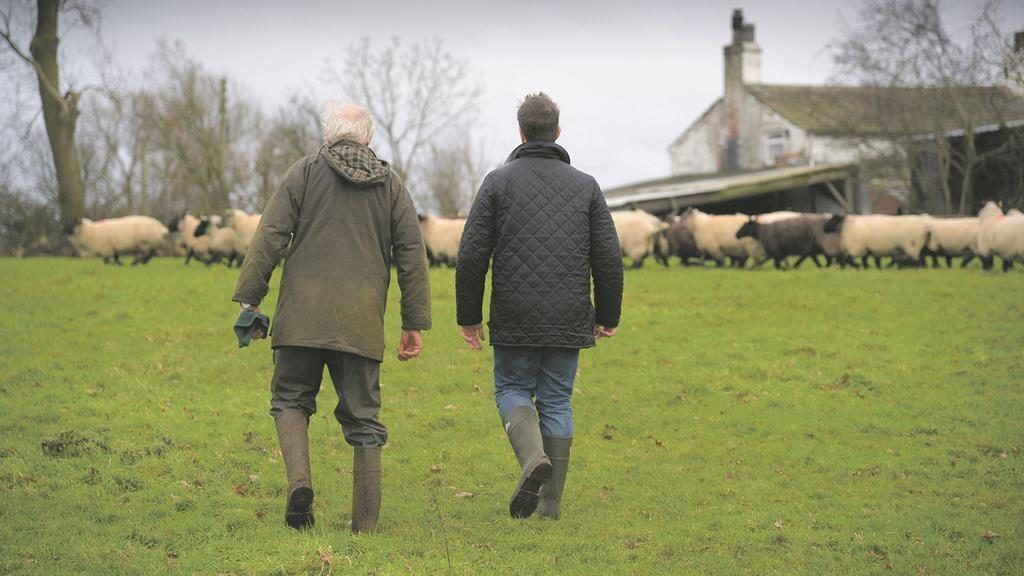 UK Government to increase farm budget to cover €60 million payout for Scottish farmers
