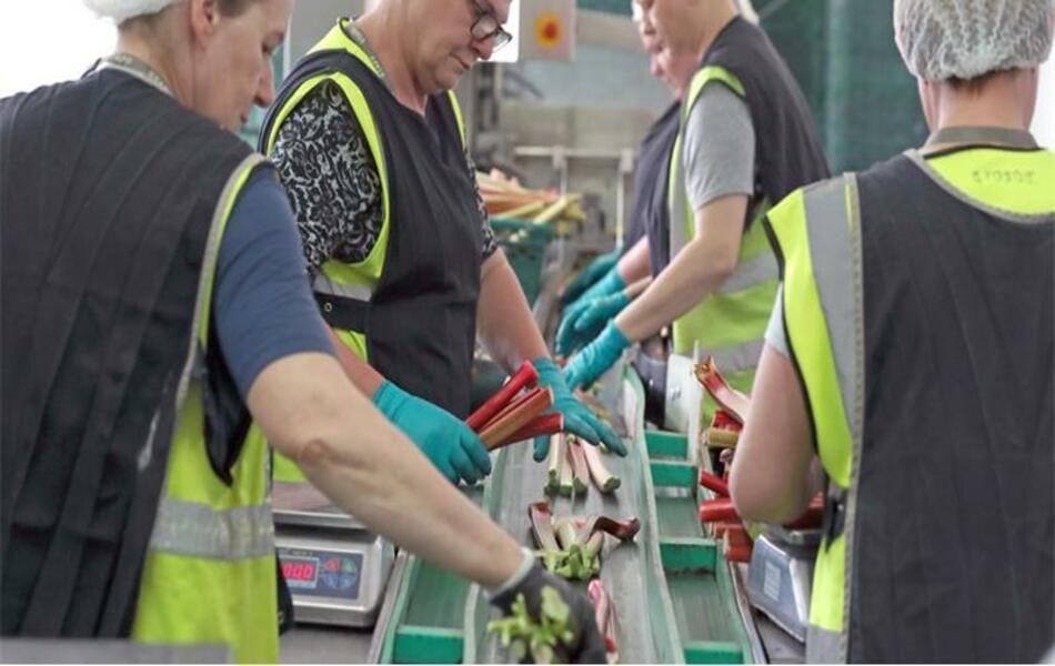 Rising costs pose 'serious threat' to horticulture sector - NFU