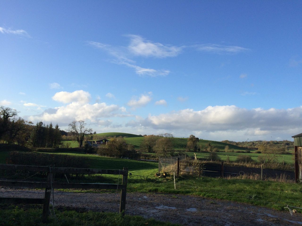 Embrace FARM to set up Cork support network
