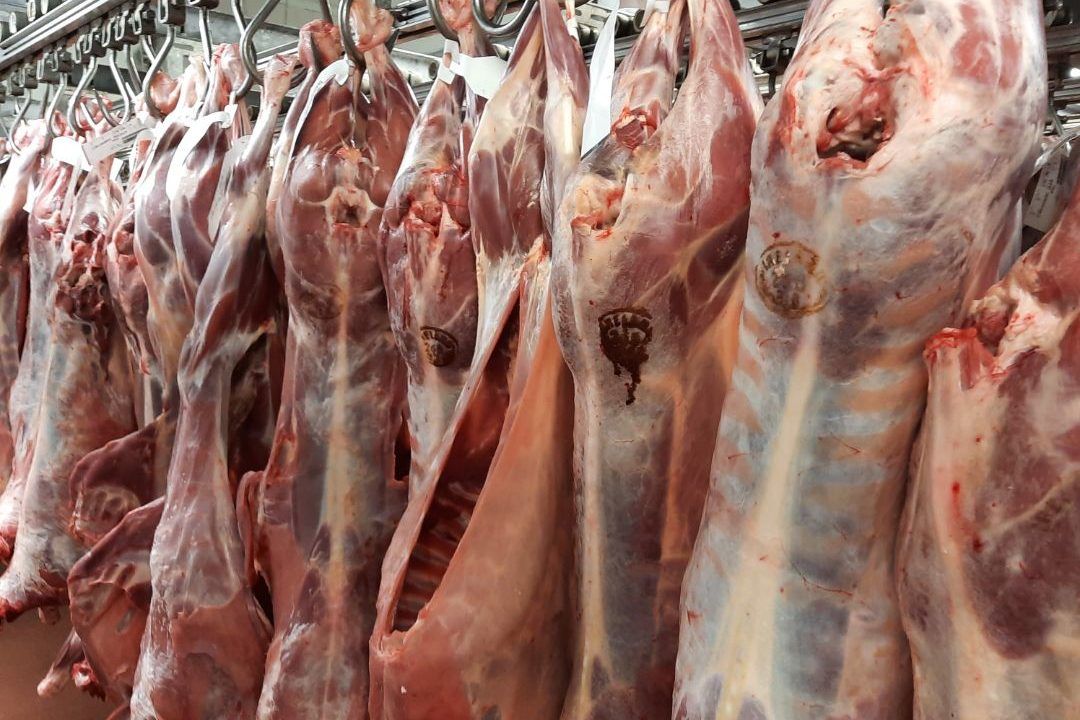 Sheep kill up 21% on March 2022 but pig kill down