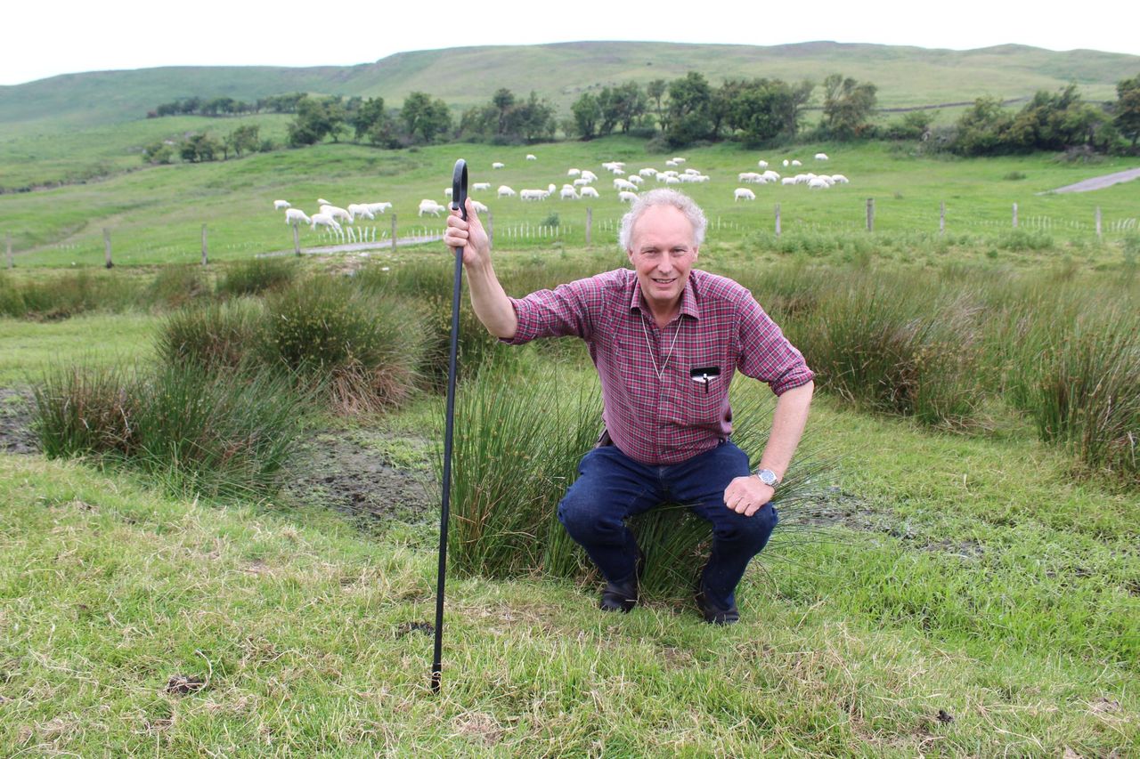 Demand for EasyCare bloodlines opening up overseas markets – farmer
