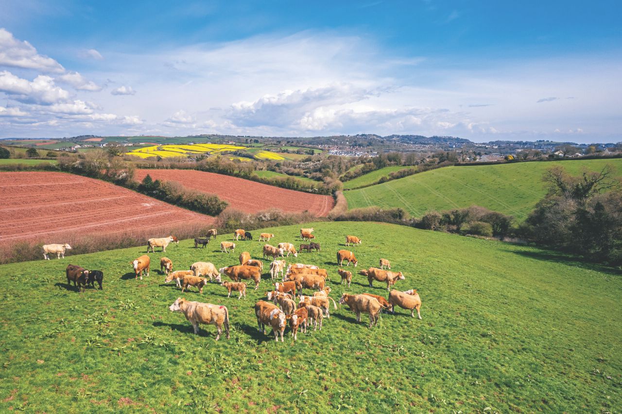 UK agri-food charity body aims to 'unlock potential' with new strategy