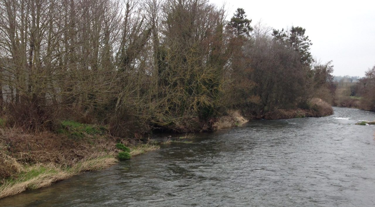 Contractor fined £20,000 after land spreading leads to water pollution