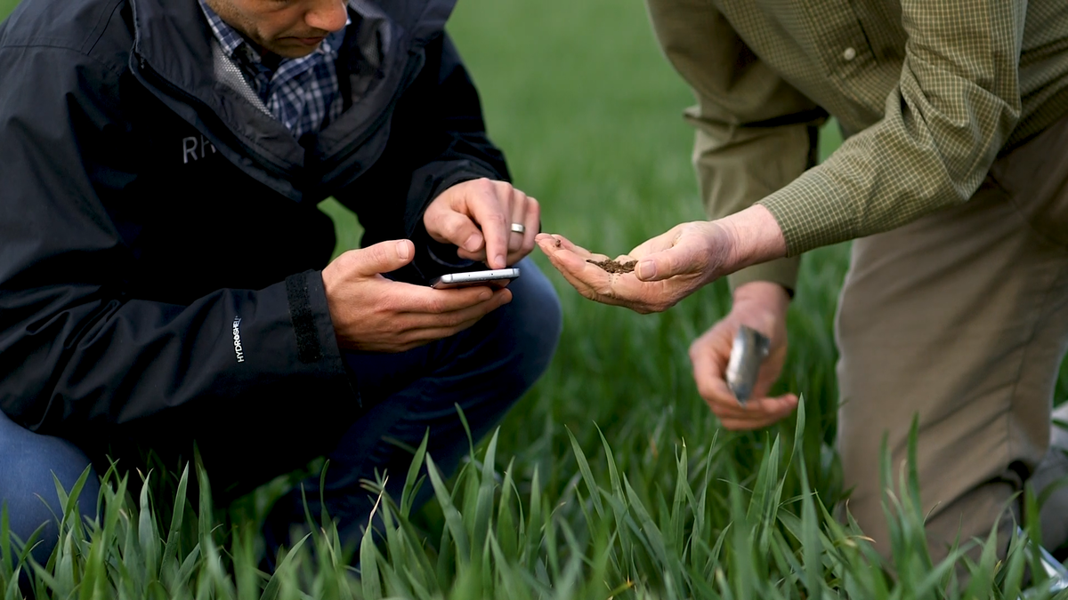 Origin Enterprises revenue drops by 25% due to fertiliser pricing