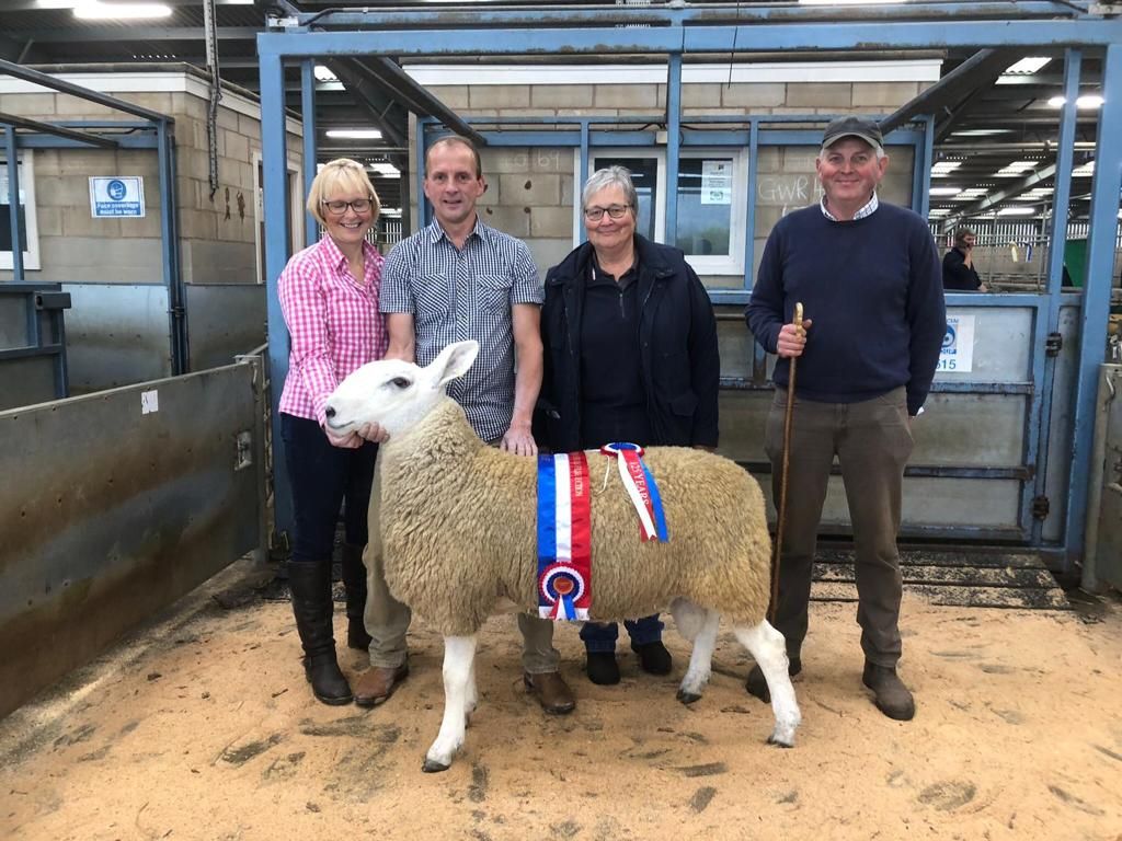 Border Leicester Sheep Society appoint 2nd ever female president