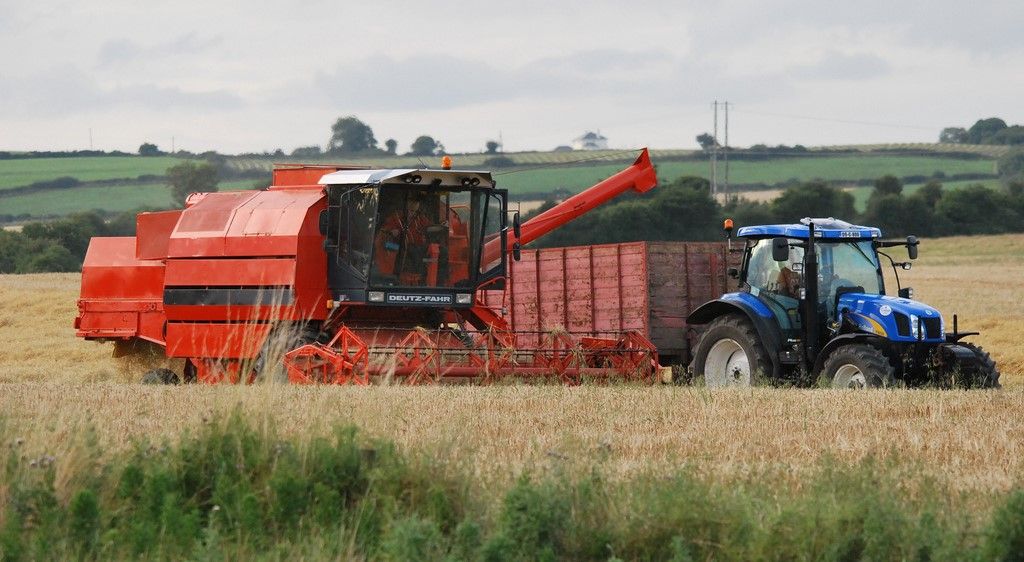 Update: How much are contractors charging to harvest grain?
