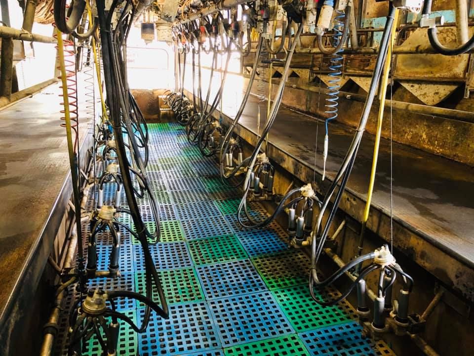 GDT index surge ‘must signal lift in milk price’