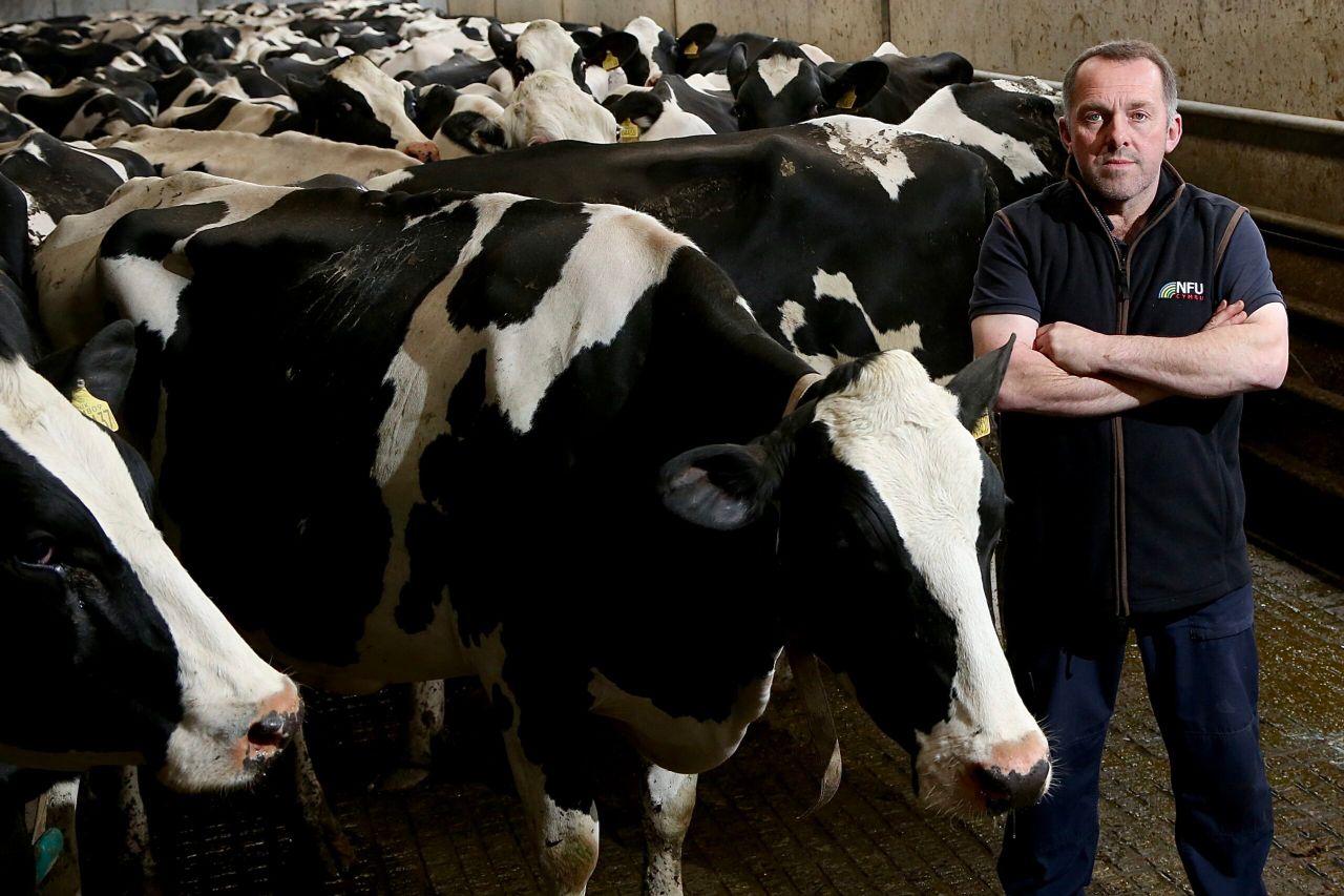 NFU: Next Welsh govt 'must give hope' of a future without bTB