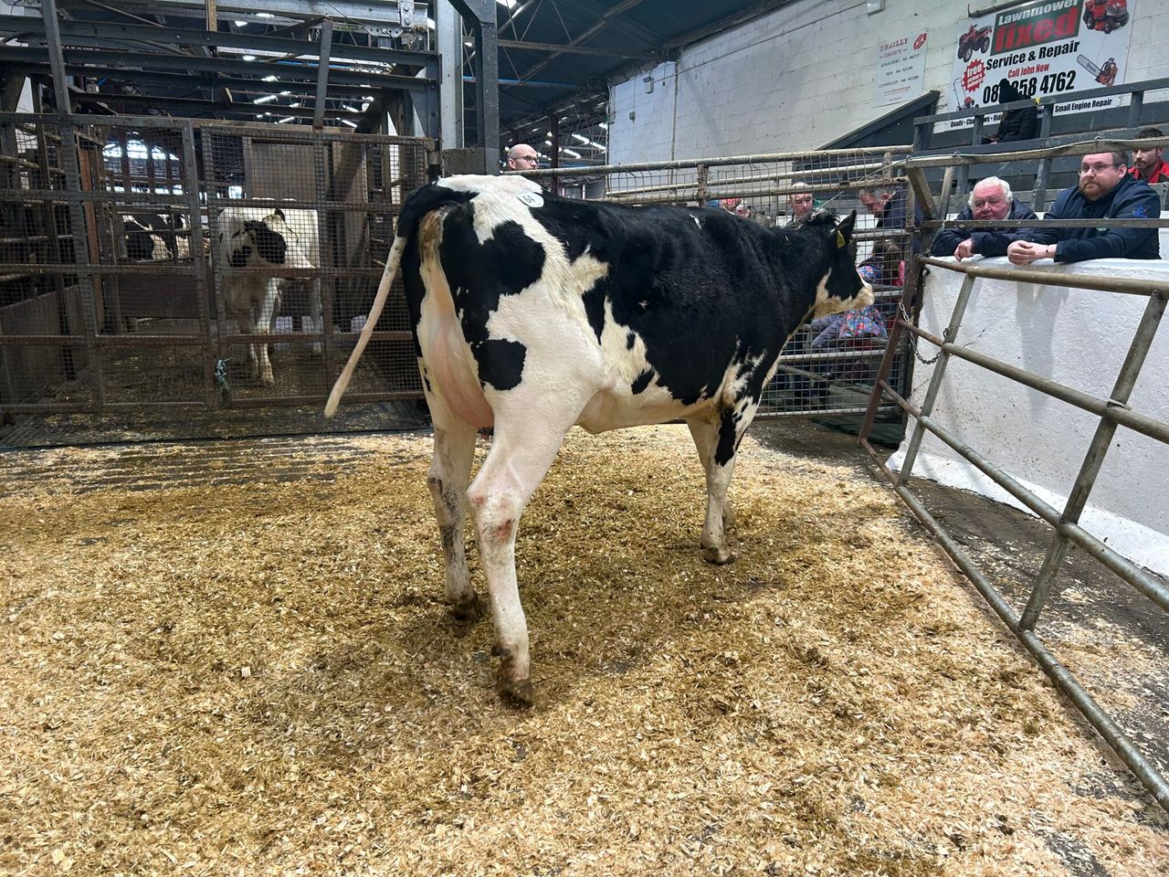 In pictures: Taaffe Auctions’ 139th Carnaross dairy sale