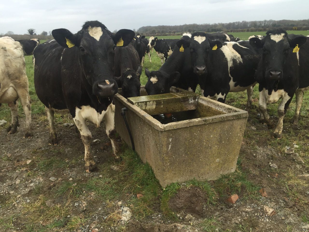NI Water inspections to be carried out on farms