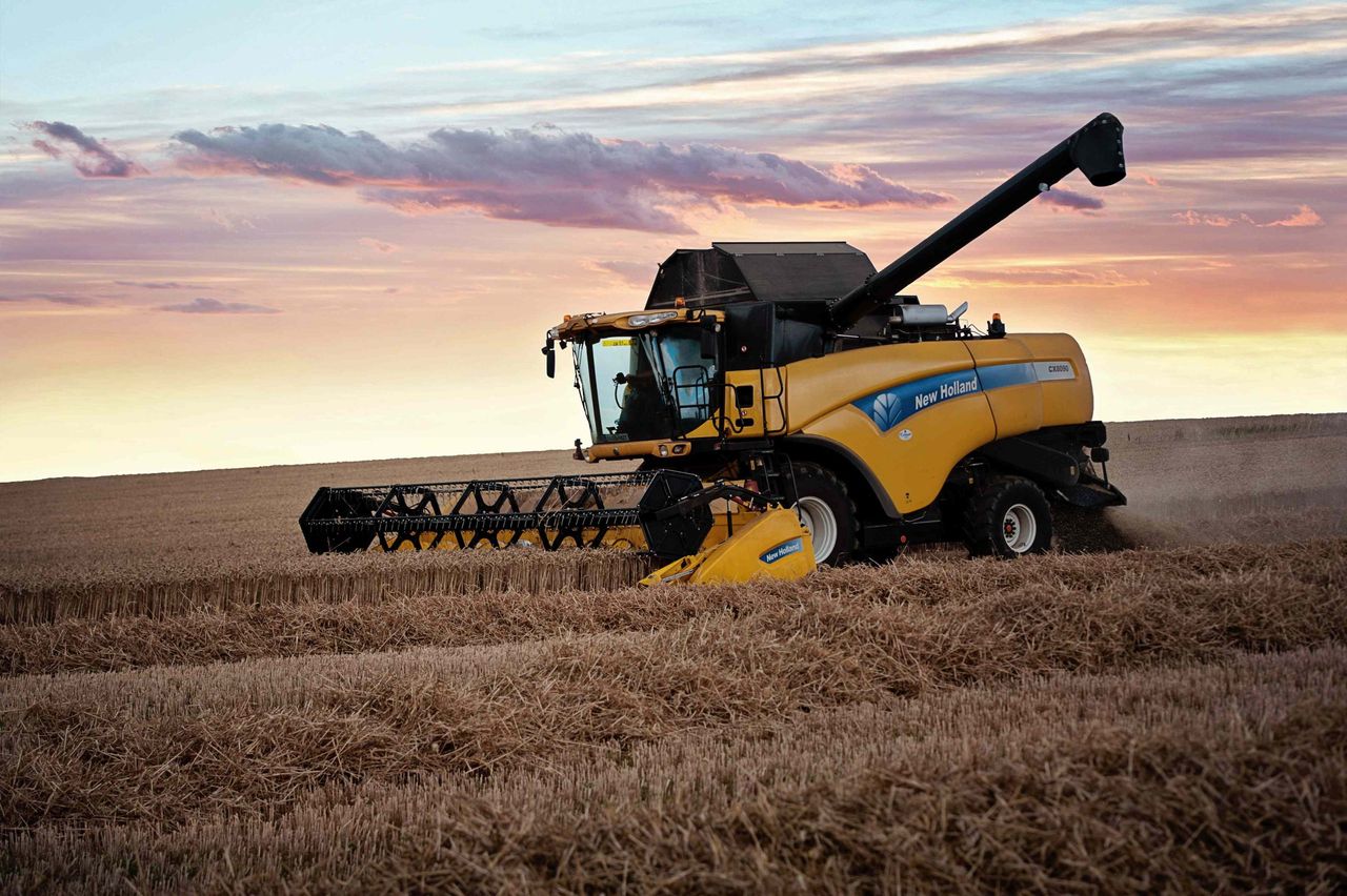 Highest UK wheat stocks on record