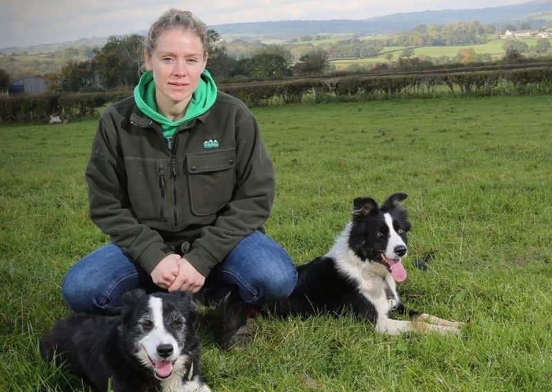 Search is on for Wales Woman Farmer of the Year 2022