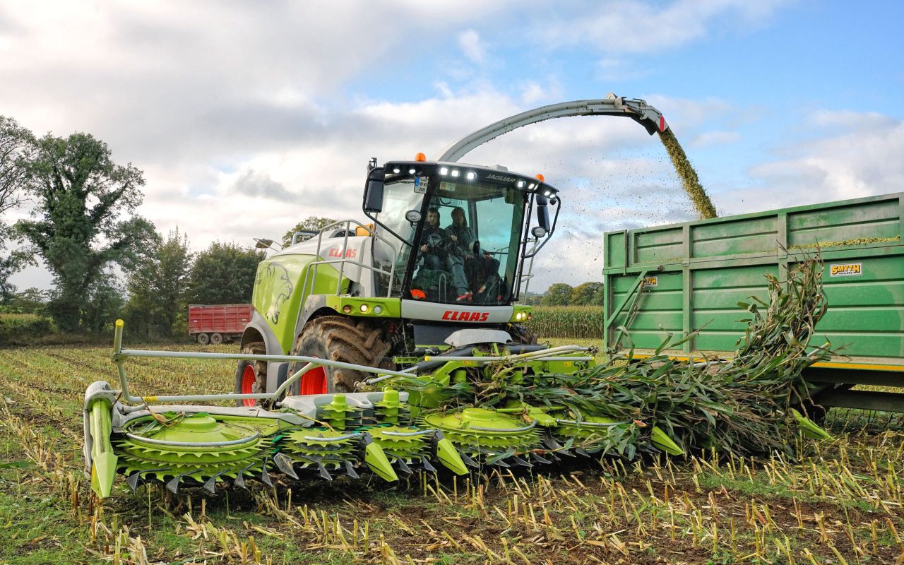 Machinery Focus: Clearing a maize crop grown ‘plastic free’