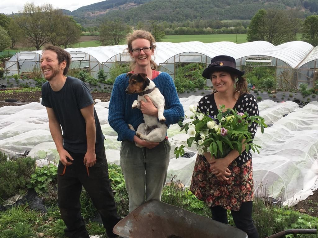 Tomnah’a Market Garden wins second NEWBIE Award for Innovative New Entrants