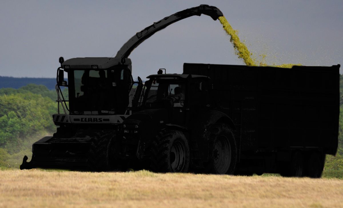 Major contracting machinery auction looms large
