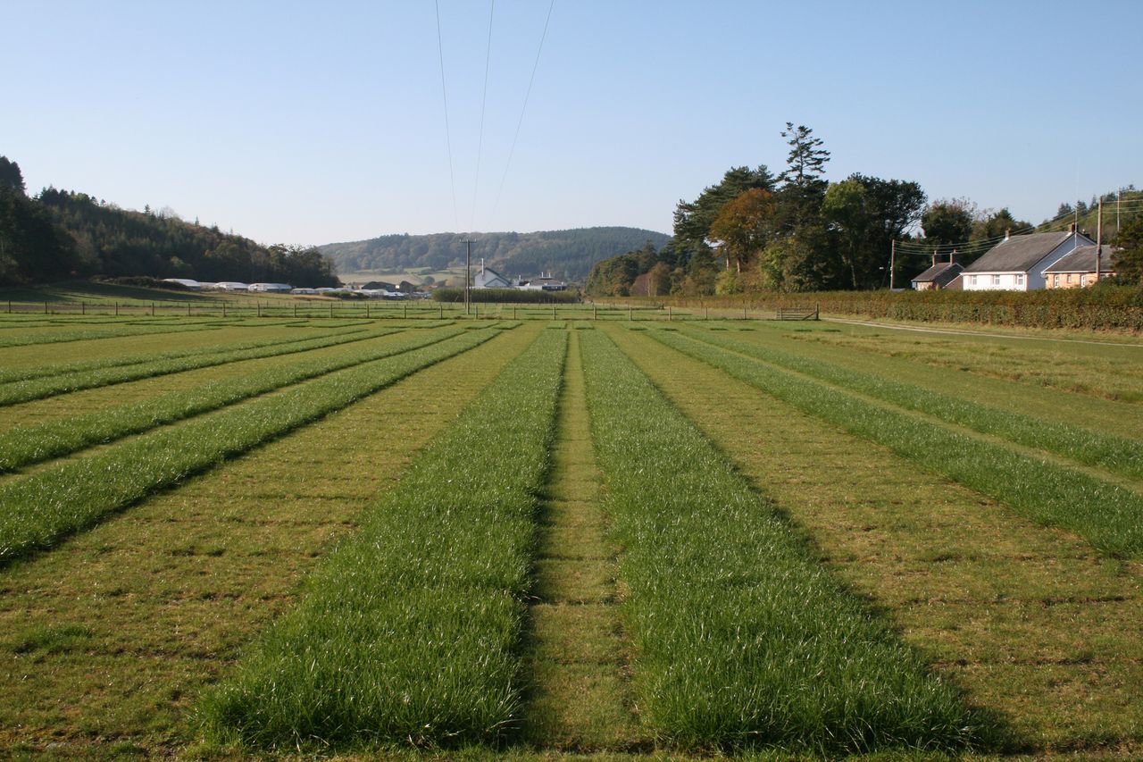 Key forage advice at Livestock Event
