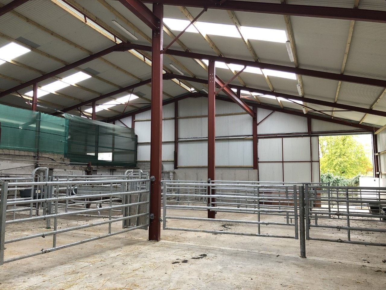 Dairy advice: Time to get your calf shed in order
