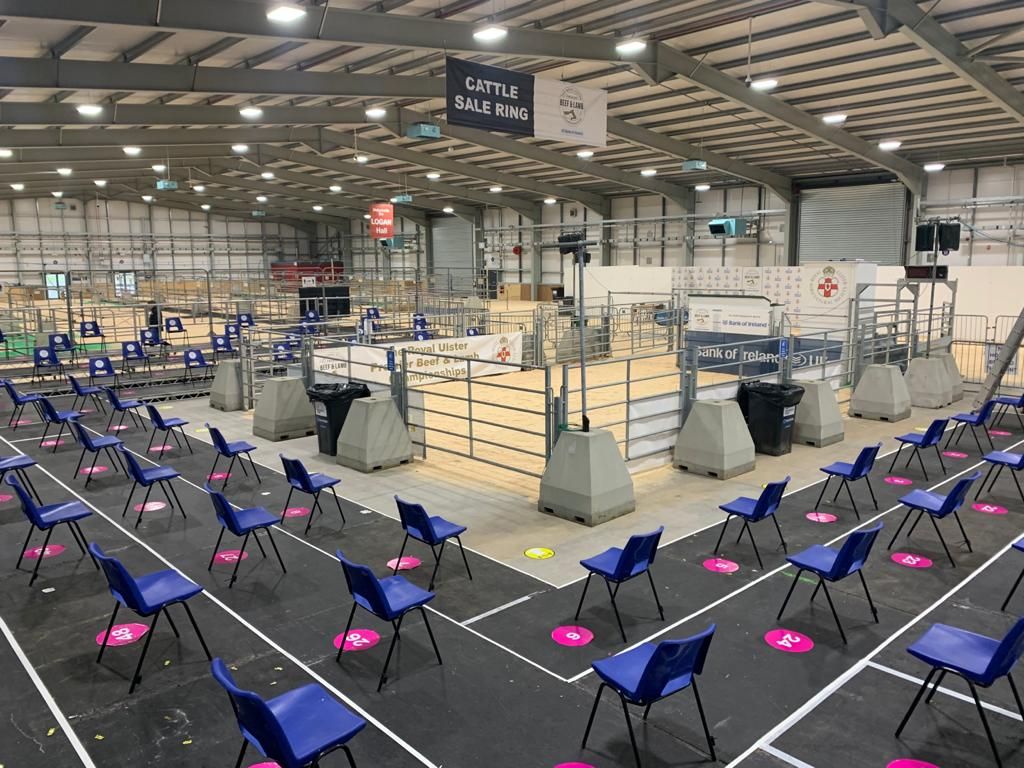 Spotted Dutch crosses carry the day at RUAS lamb championship
