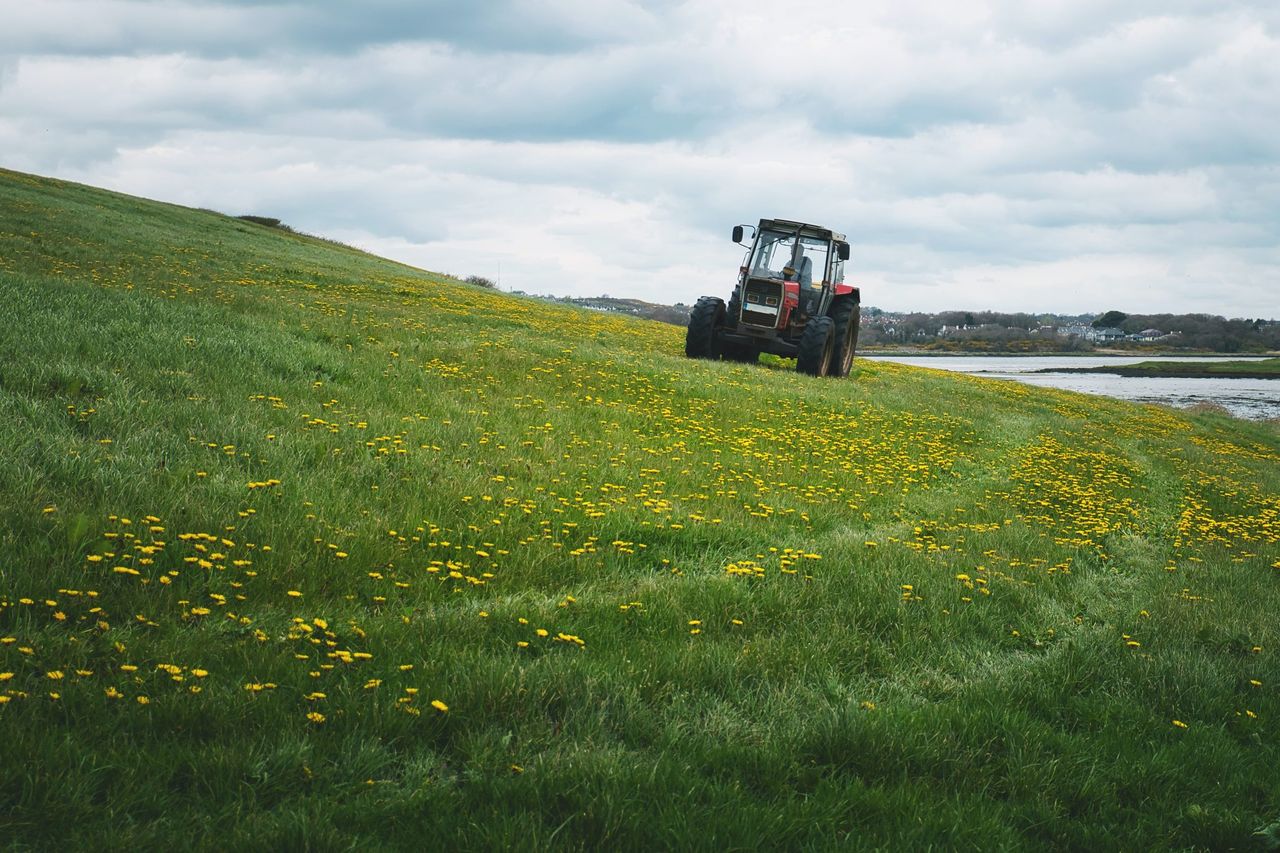 2025 a year of ‘unprecedented challenges’ for farming in NI