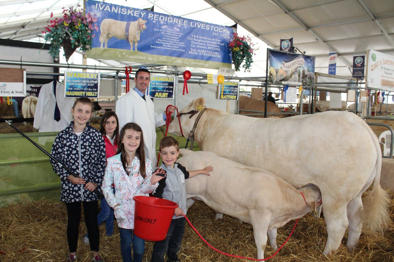 Breeders split on merits of four-day Balmoral Show