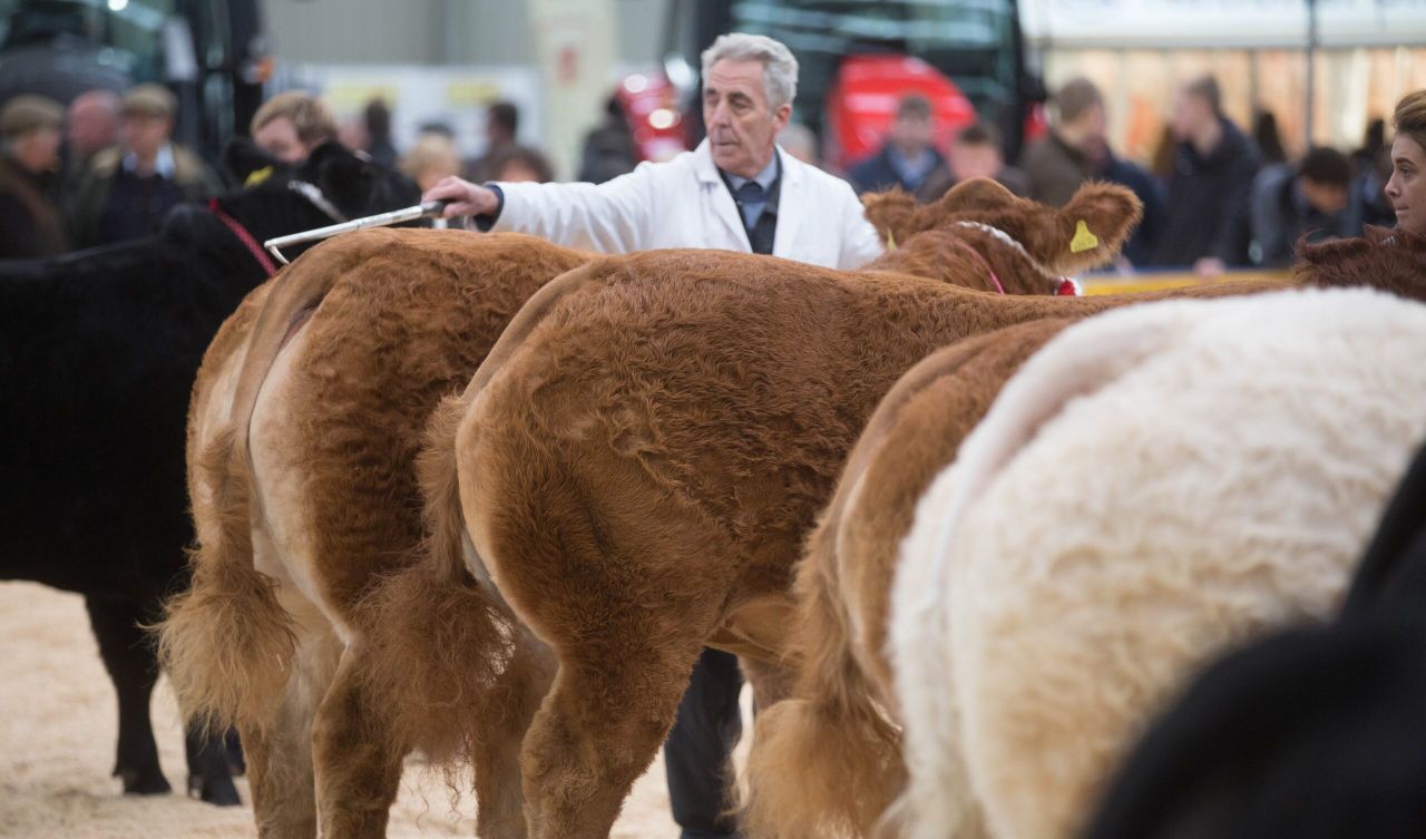 East of England prize pot doubled for supreme cattle champion