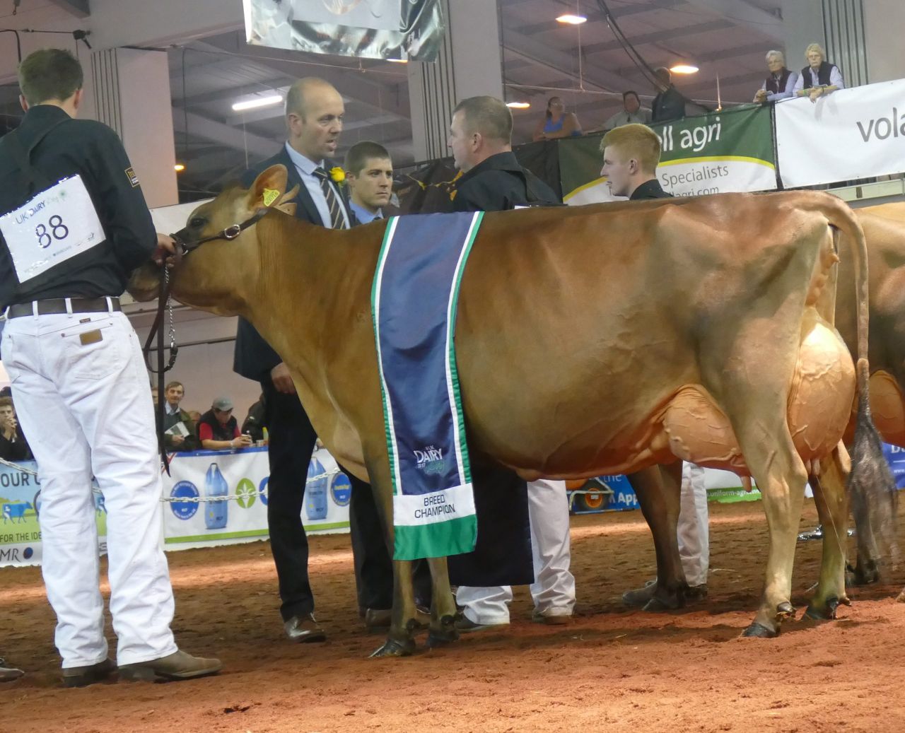Harp hits the right notes at UK Dairy Day