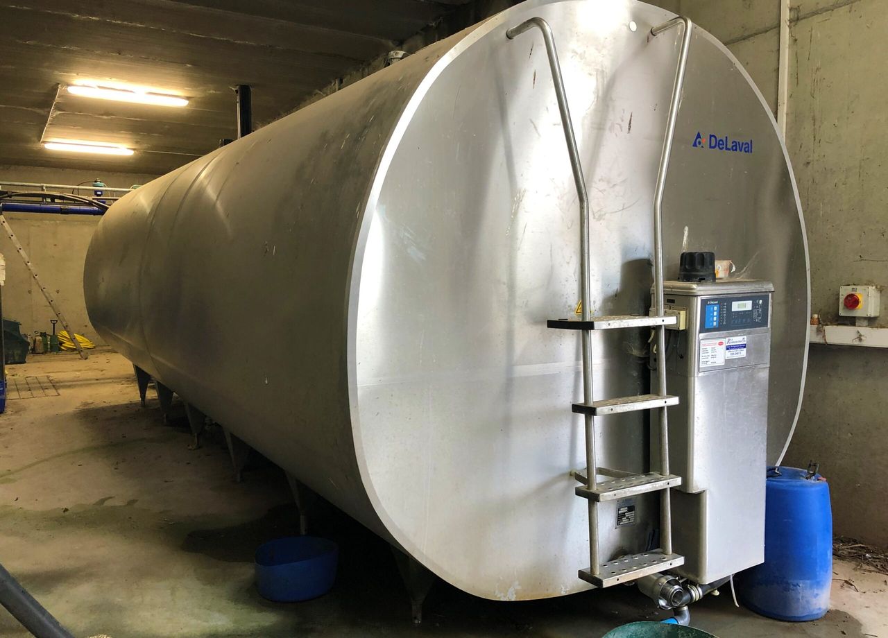 What prices did Northern Irish processors pay for November milk?