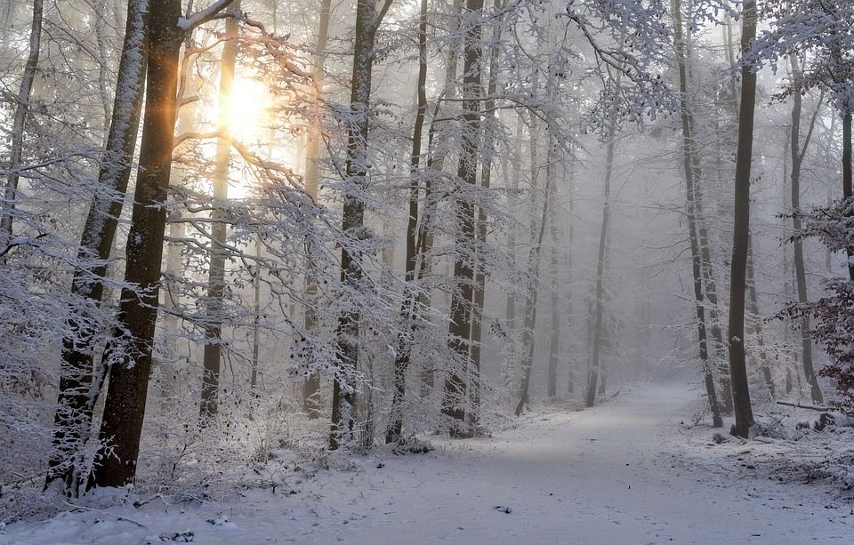 Weekend weather: Cold snap but mostly dry conditions