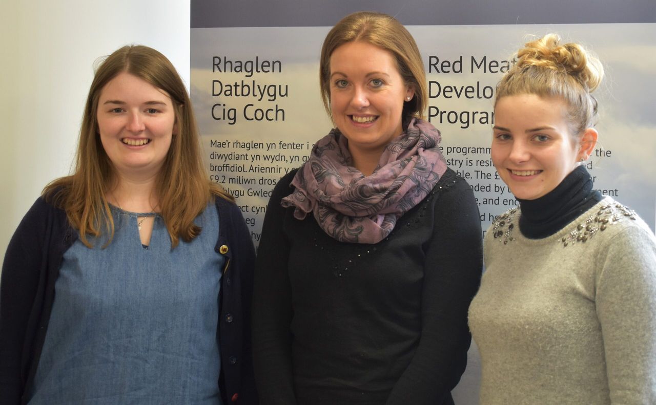 New flock and herd health officers to help drive Welsh red meat efficiency