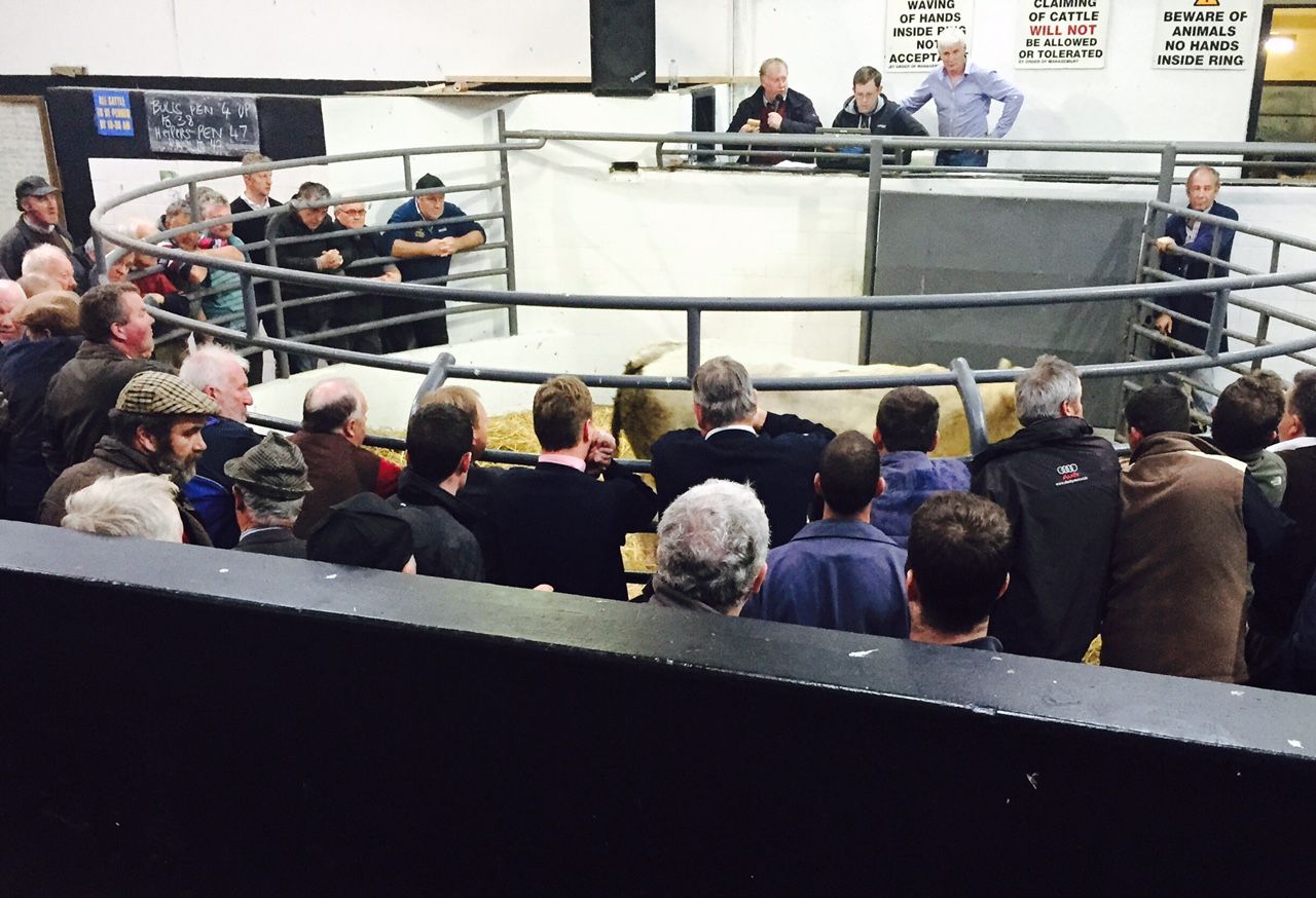 Northern buyers warned southern-born cattle could face ‘significant penalties’