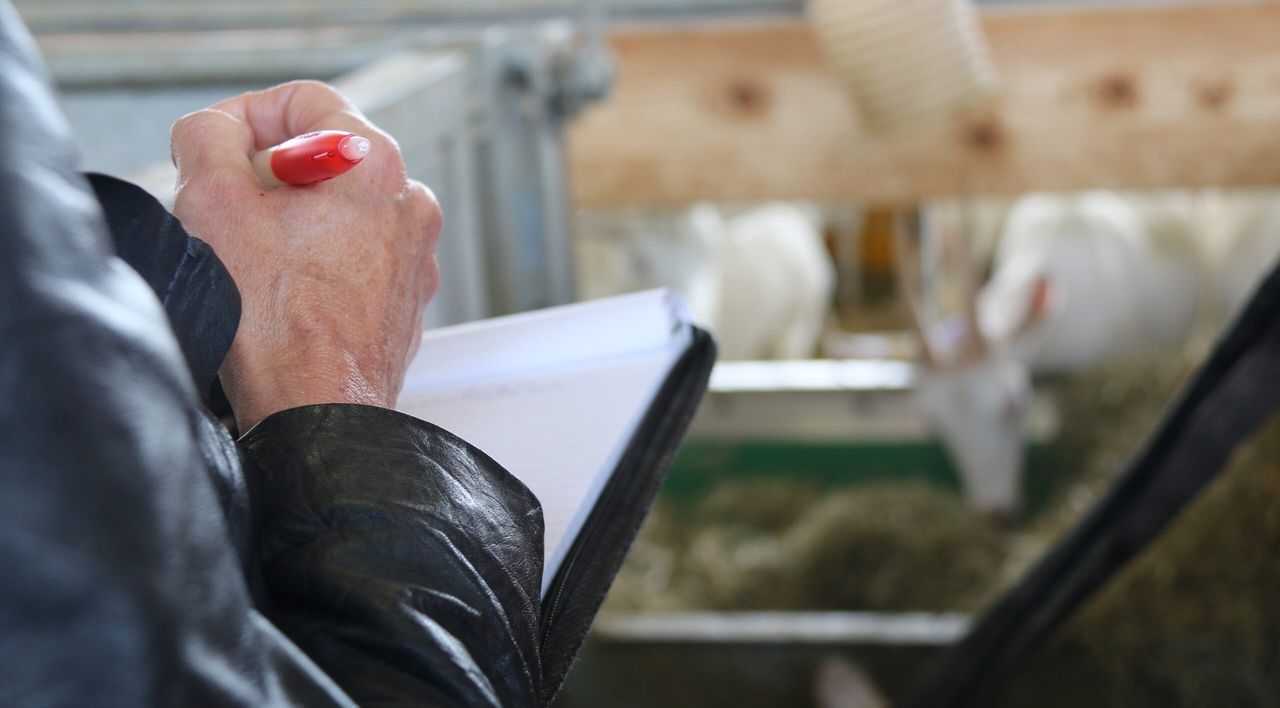 Official veterinarian struck off for falsifying slaughterhouse certificates