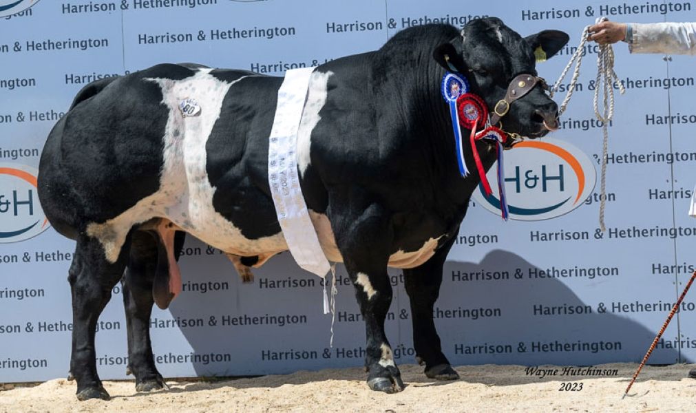 Carlisle sale sees new breed record of 32,000gns