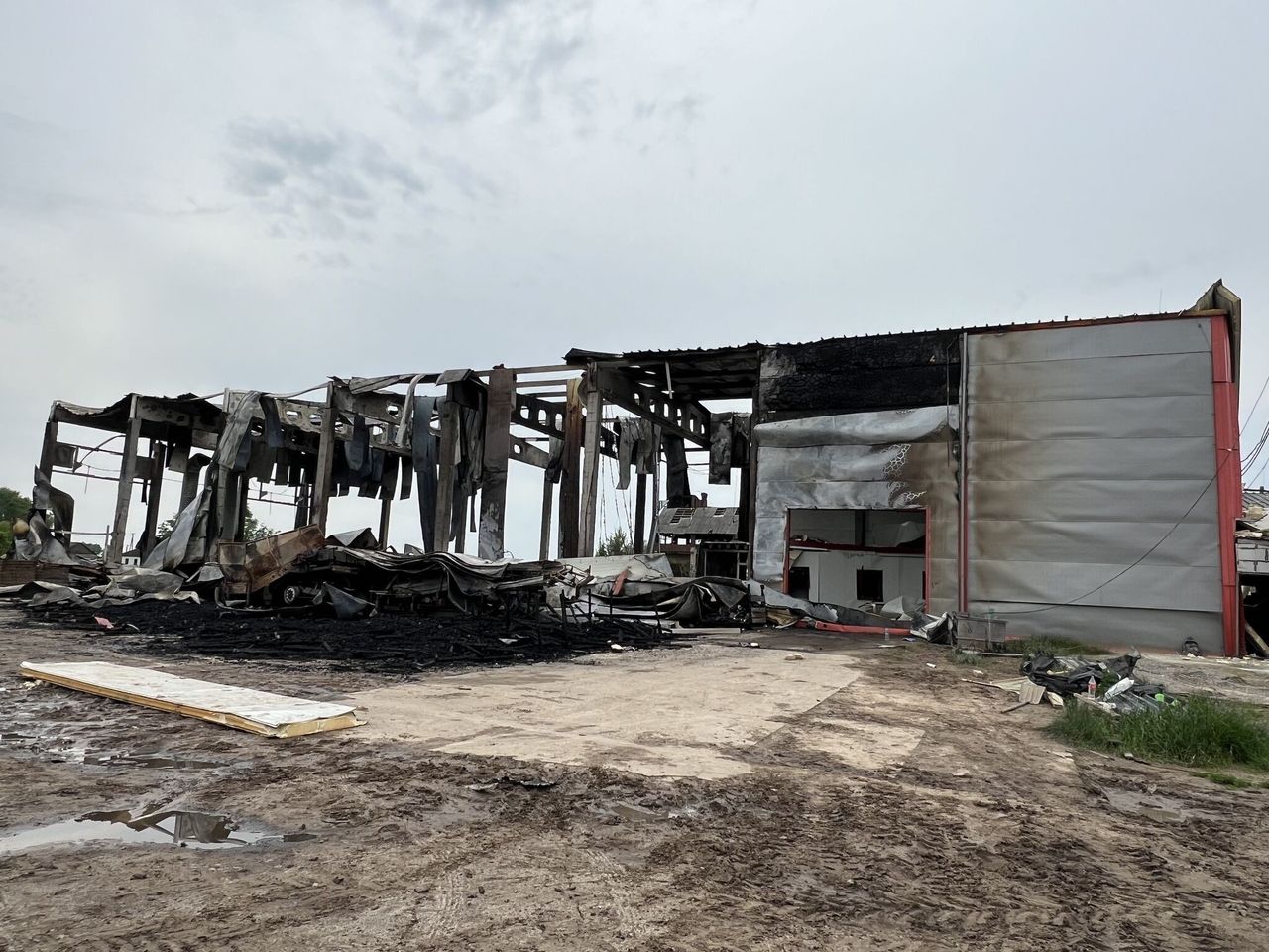 Video: Ukrainian Agri Council – cattle killed and farms destroyed