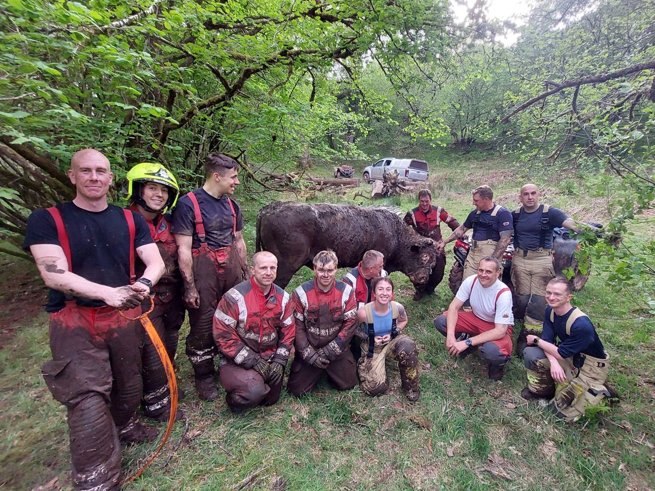 Fire services in Wales rescue 800kg bull stuck in bog