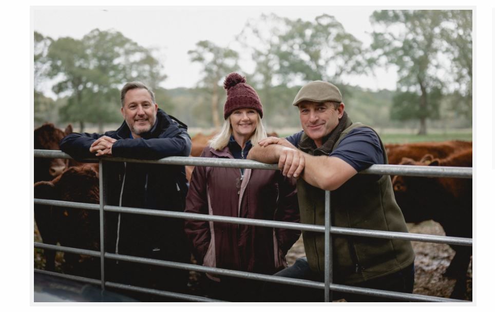 Cattle used to restore 'secret forest' after 100 years