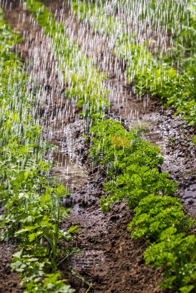 Ireland braced for more heavy rain