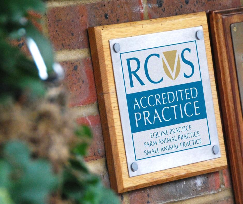 Cheshire vet cleared of disgraceful conduct allegation