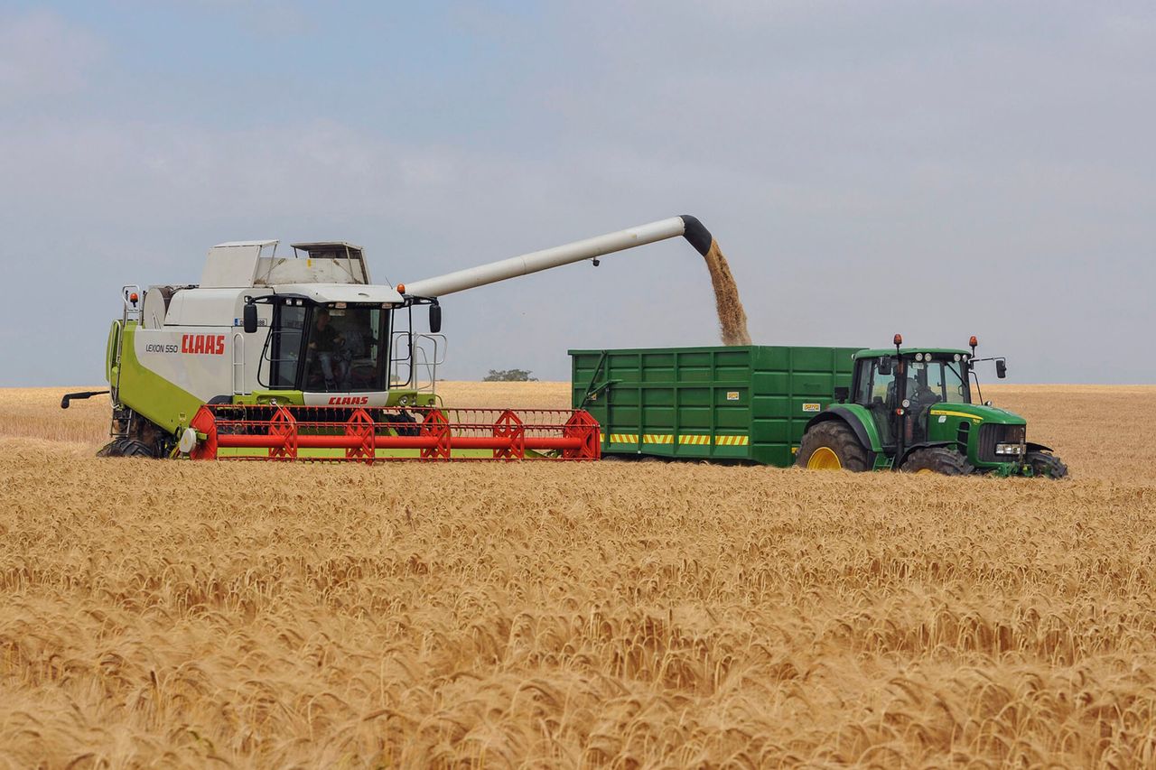 FAO Food Price Index declines in November