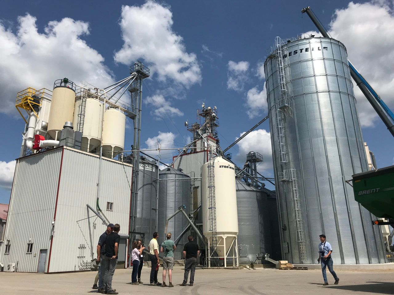 Watch: Cribit Seeds trialling and processing seed in Ontario
