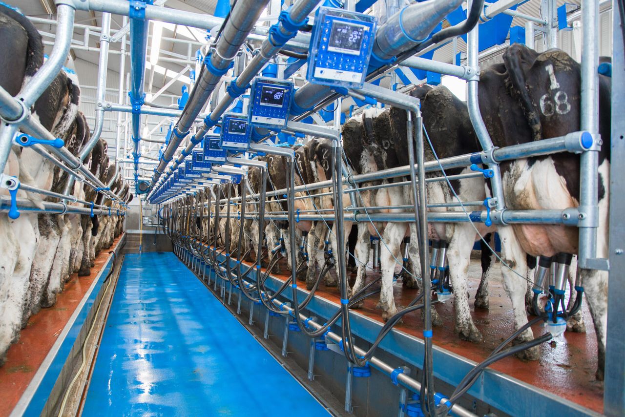 GDT index records slight rise to mark 3rd consecutive increase