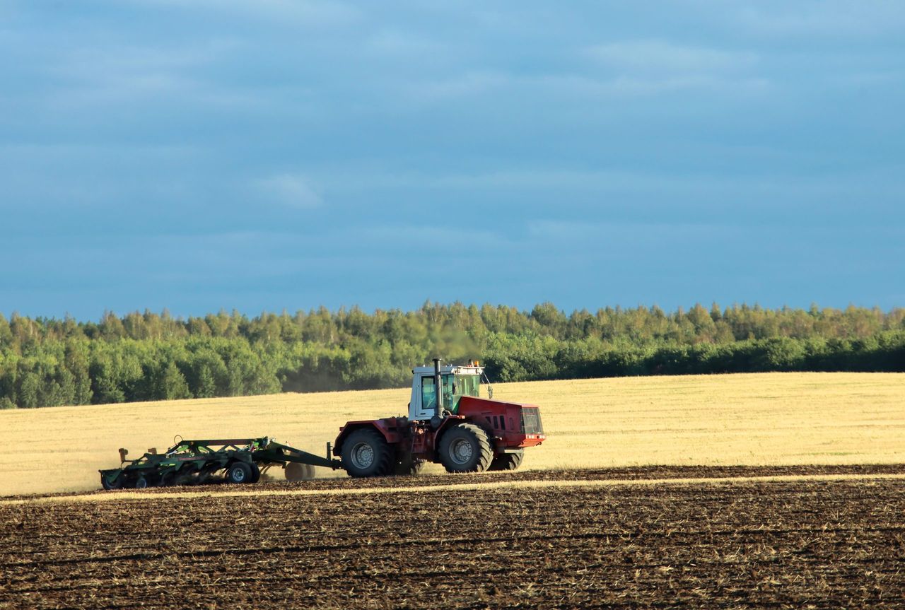 Strengthening futures’ market could encourage last season’s wheat to be stored