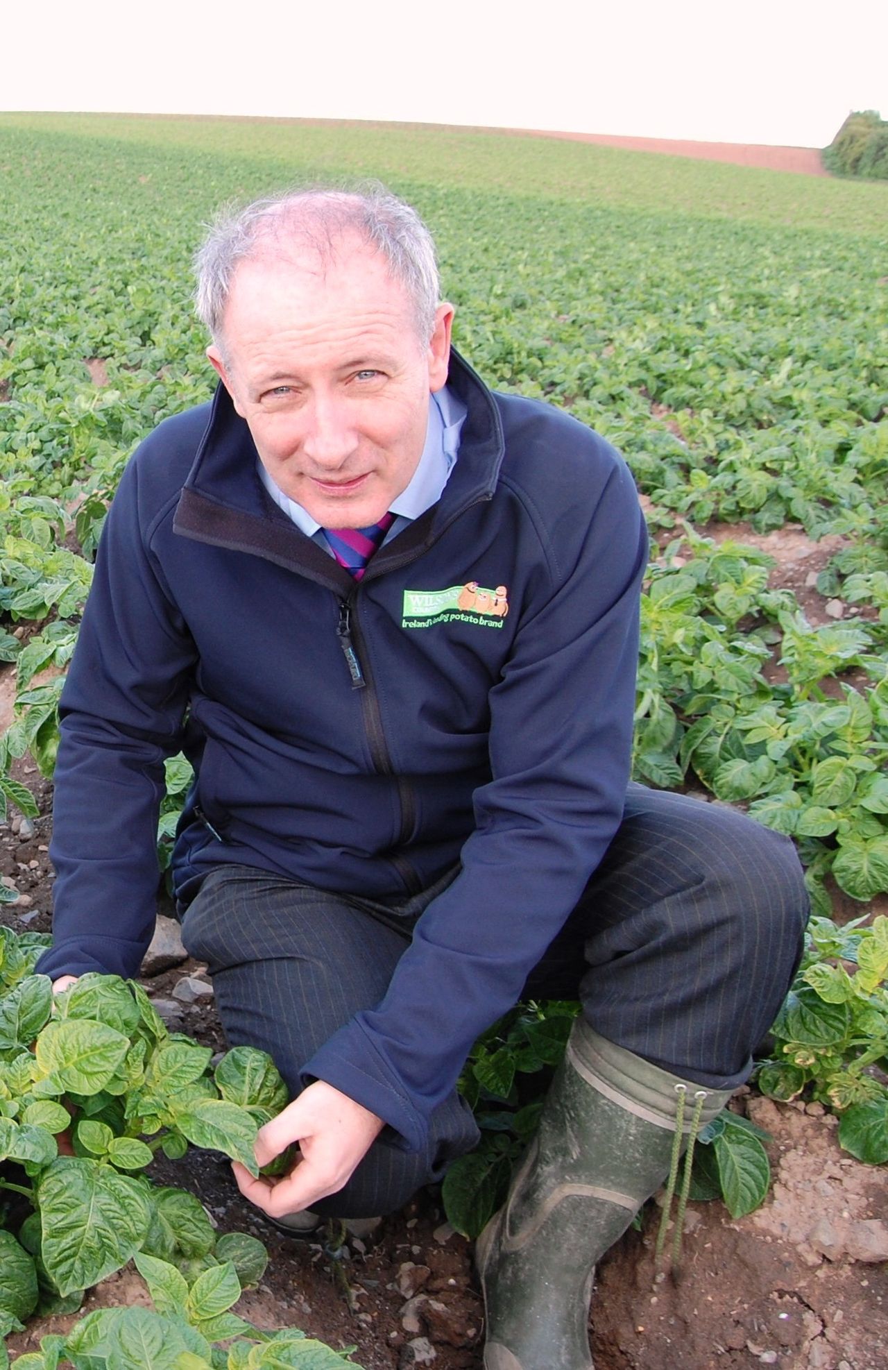 Costs and younger people see potato sales decline