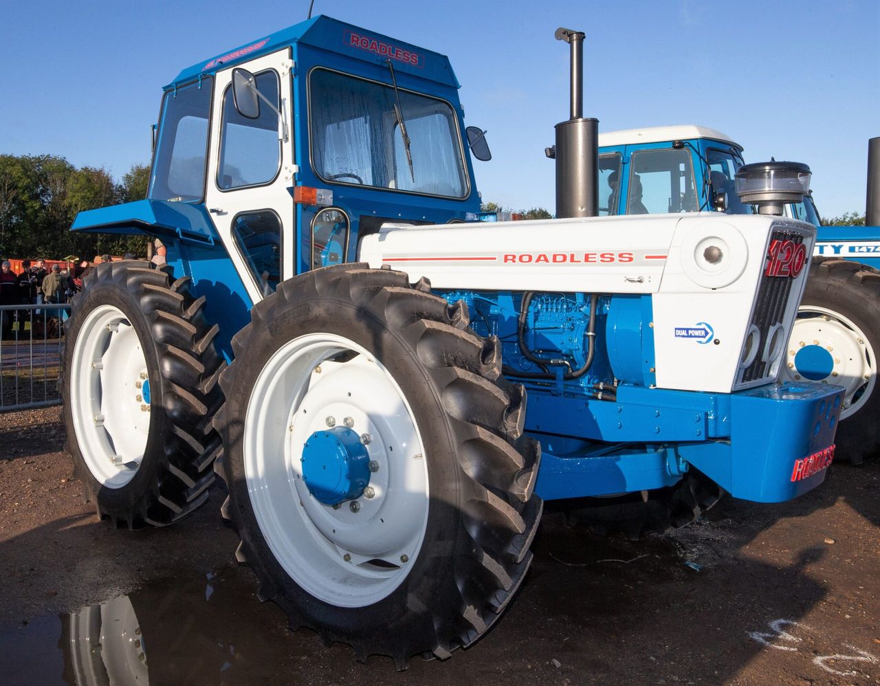 Auction report: Remarkable Roadless sells for £46,000 (plus commission)