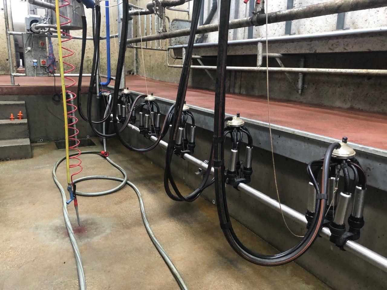 Analysis: European dairy markets continue to trend higher