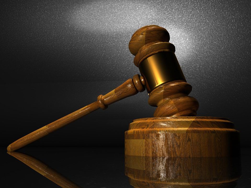 Home detention for New Zealand sharemilker who injured tails