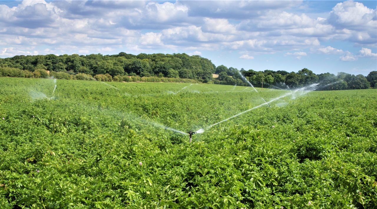 Farmers advised to make long-term water plans as temperatures continue to soar