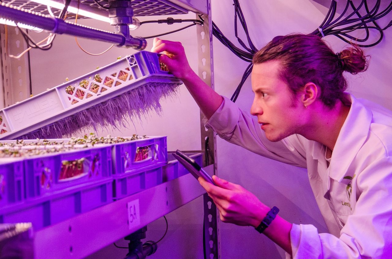 LettUs Grow named best 'tech-for-good' startup in the UK